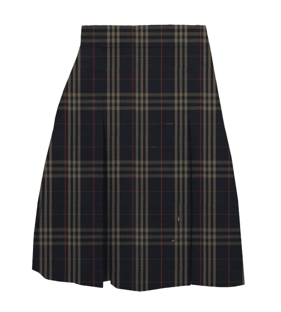 Plaid Polycot Box Pleat Skirt - Plus Size - P1C