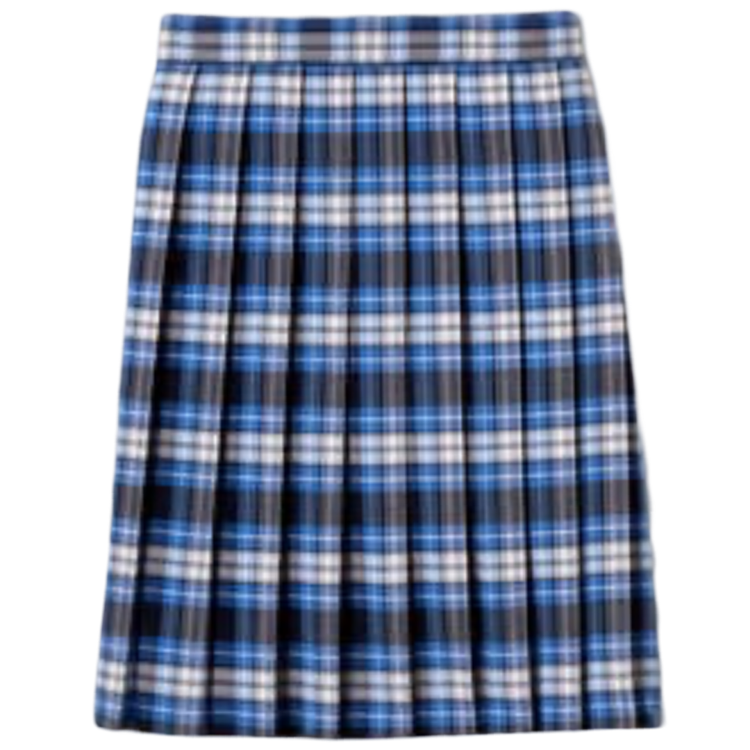 Young Women's Plaid Pleated At The Knee Skirt