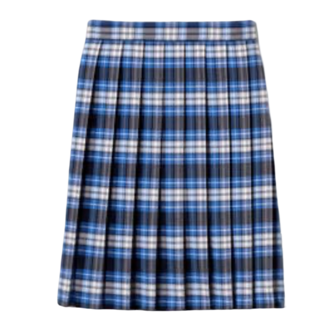 New Life - Girl's / Young Women's Plaid Pleated Skirt To The Knee