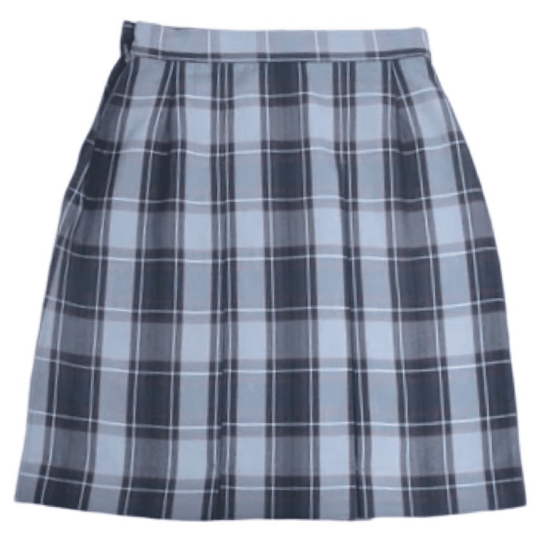 A+ Plaid Poly Box Pleat Skirt - Plus Size - P82