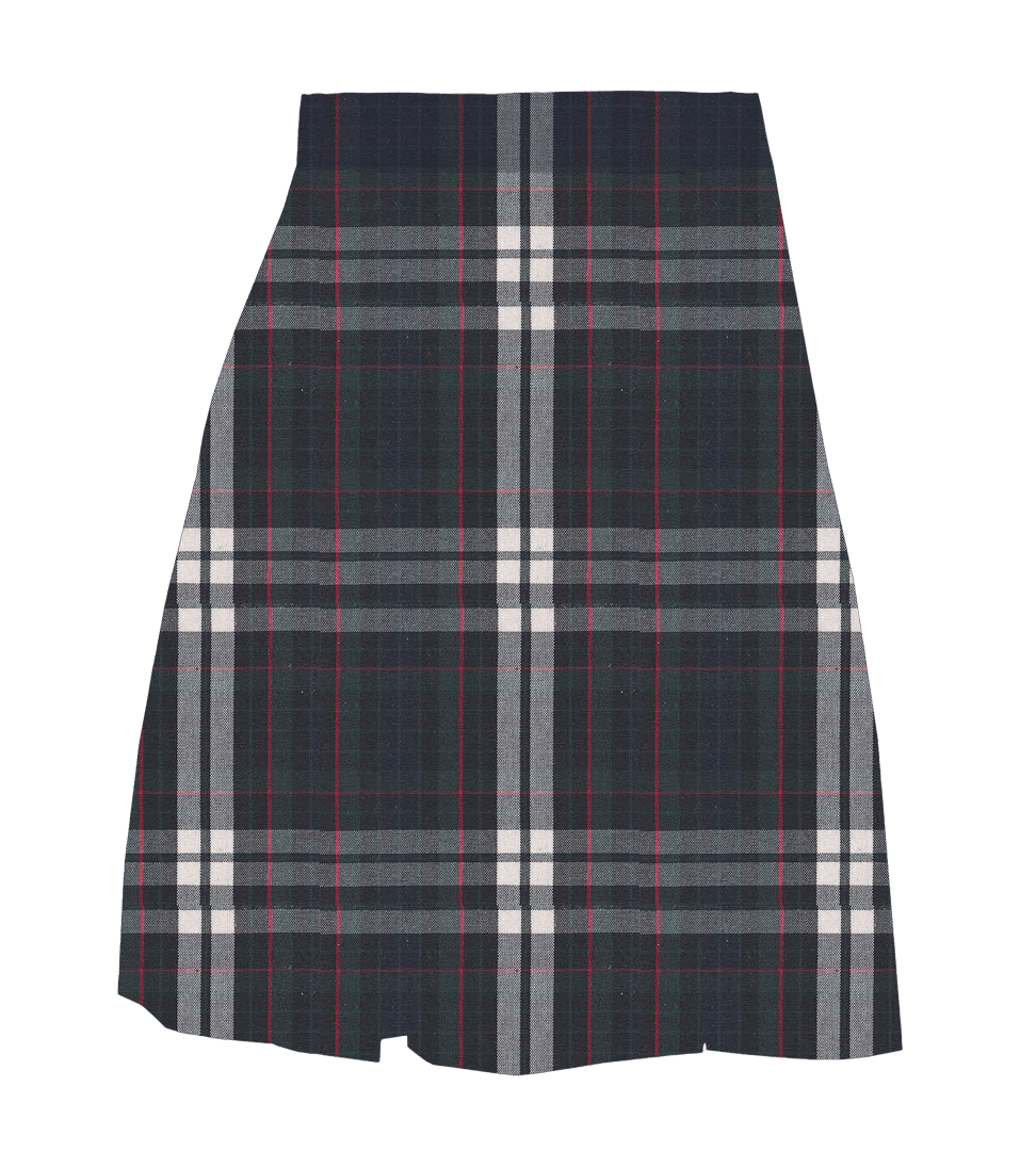 A+ - Plaid Polycot Box Pleat Skirt - Plus Size - P60