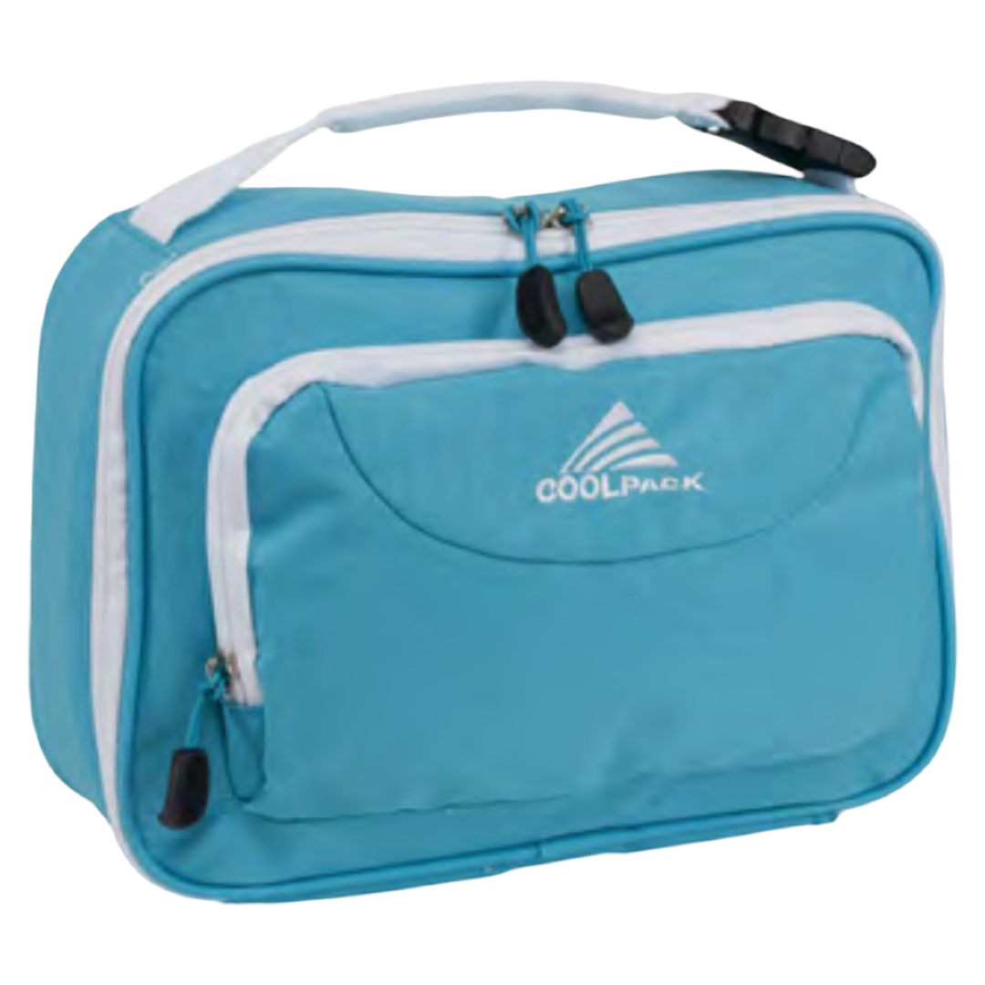 Foldable Insulated Lunch Tote