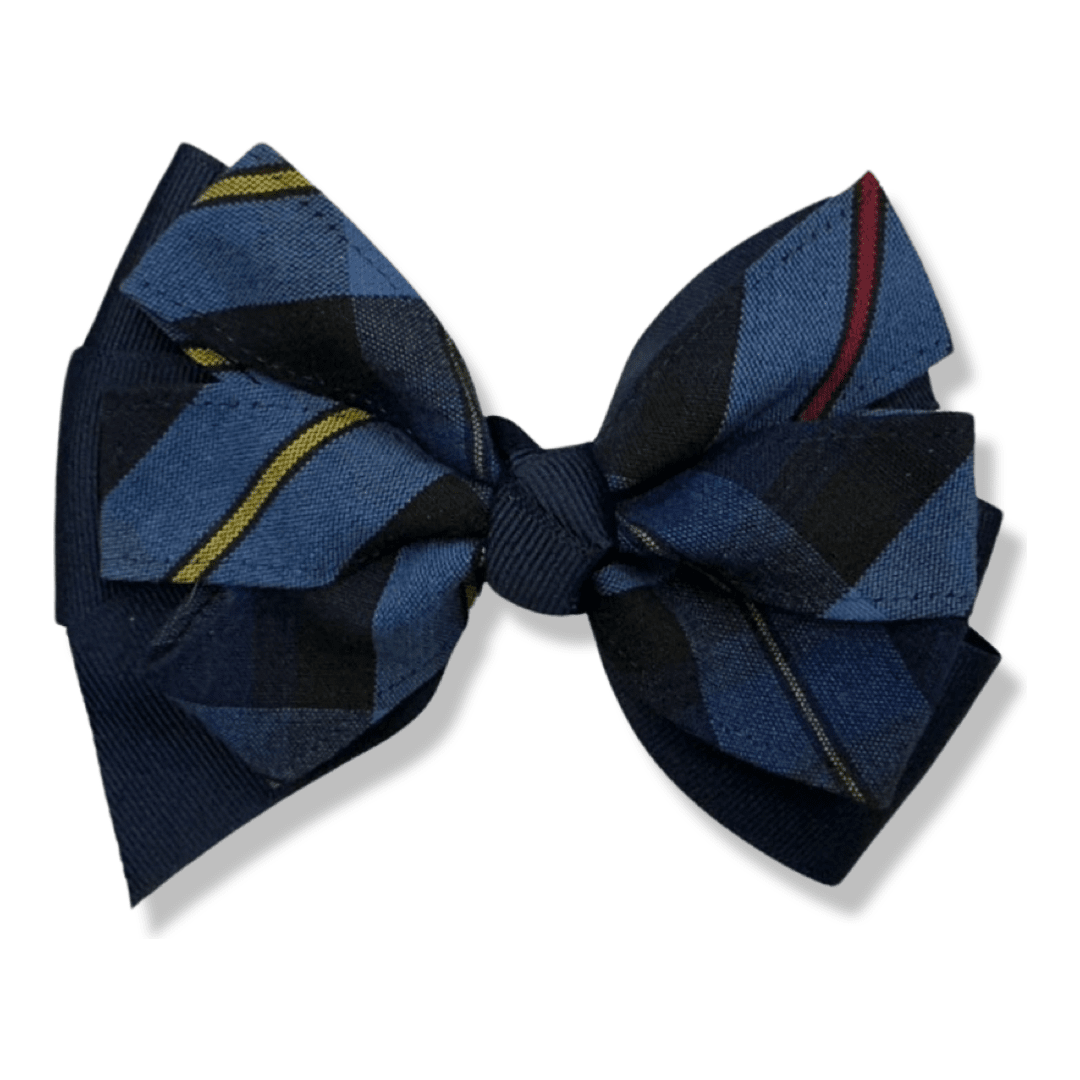 Harbor Christian Academy - Large Pinwheel Bow - Plaid P41