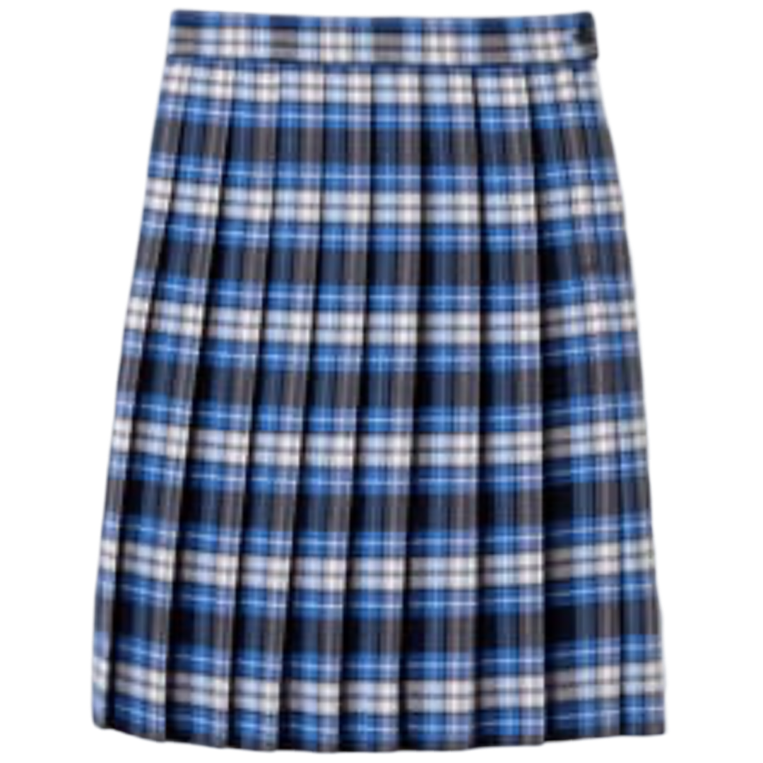 Young Women&#39;s Plaid Pleated At The Knee Skirt