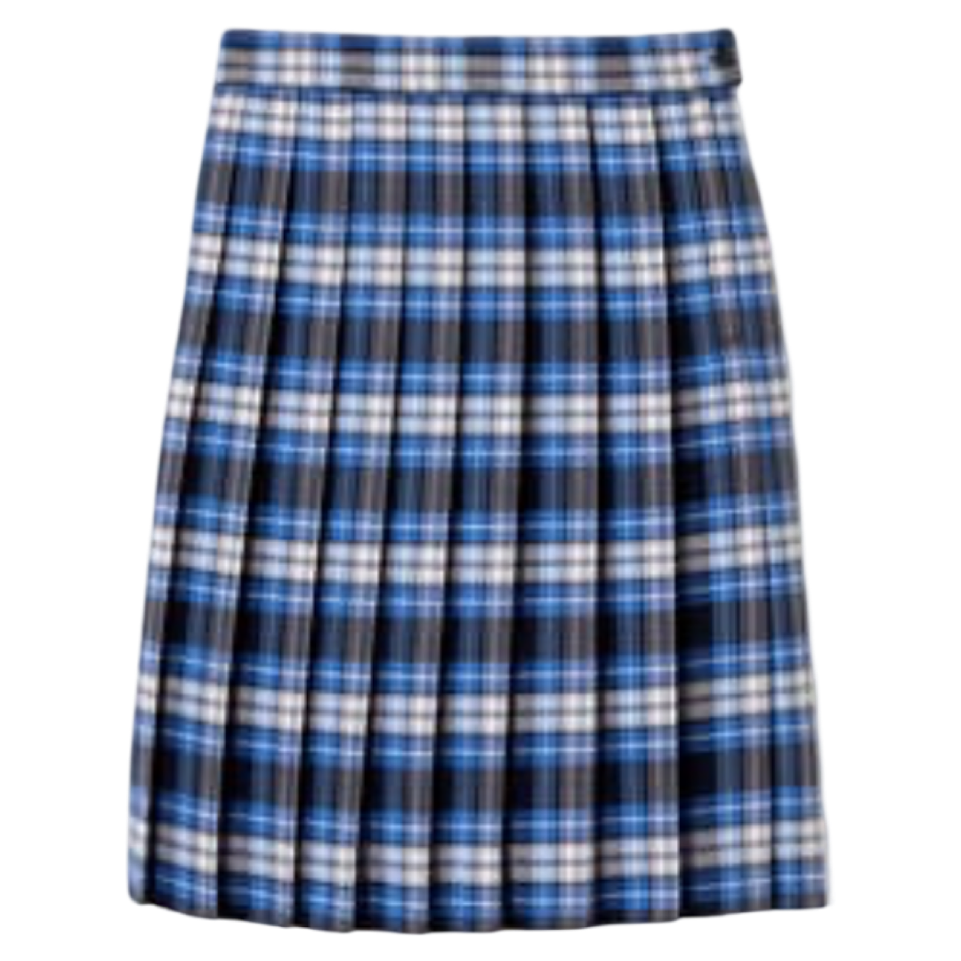 Hope Academy - Girl's / Young Women's Plaid Pleated Skirt To The Knee