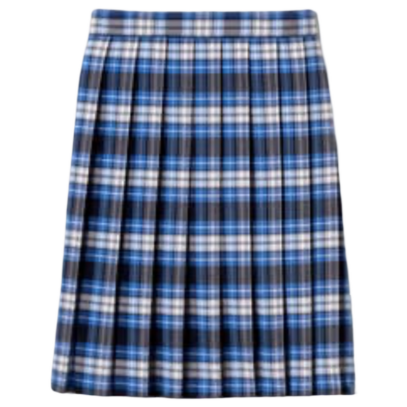 New Life - Girl's / Young Women's Plaid Pleated Skirt To The Knee