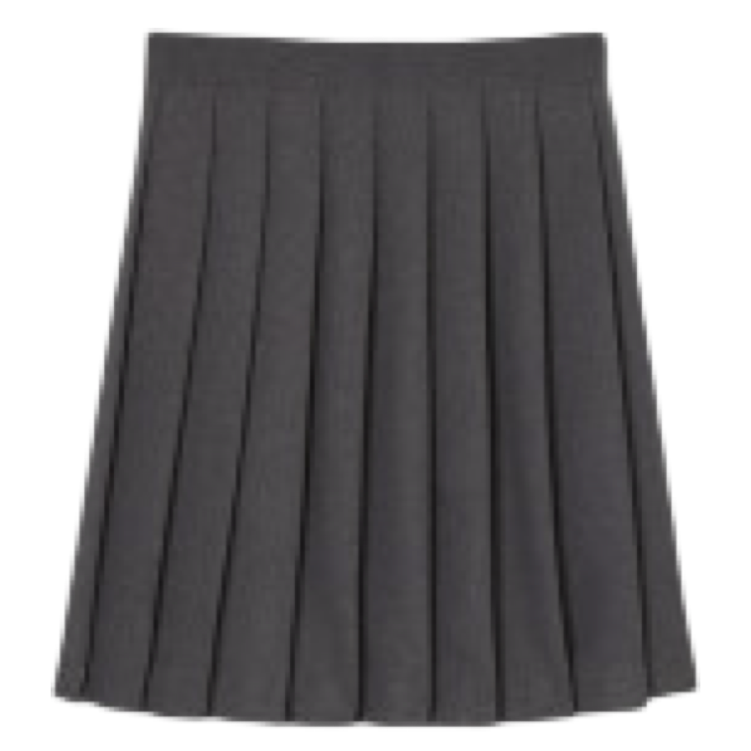 Women's Pleated Skirt At The Knee