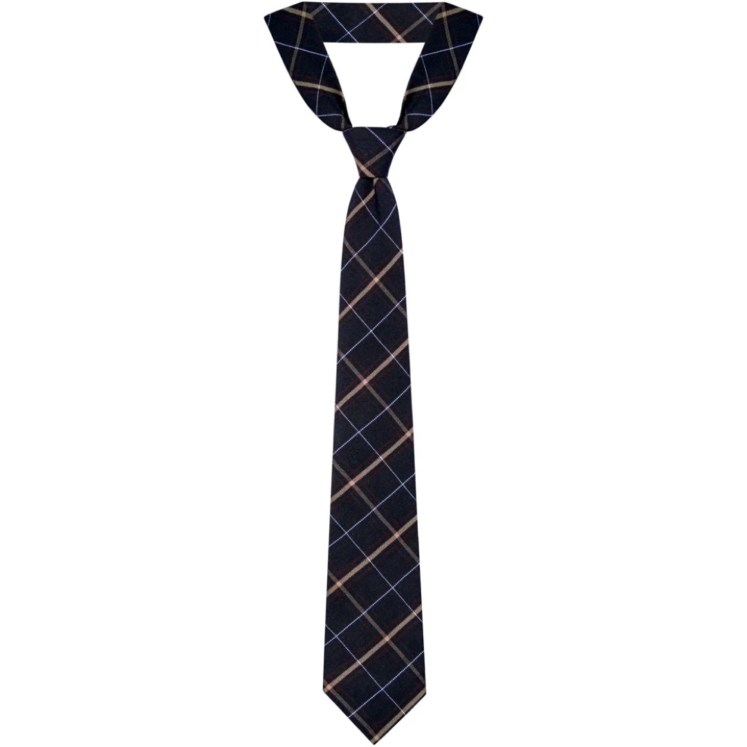 Young Men&#39;s Plaid Men&#39;s 4 in hand Tie - P6A